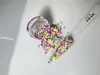 Accesorios para Uñas Lentejuelas Redondas Fluorescentes Lentejuelas de Novia Tamaños Mixtos Escamas Mate Kit de Herramientas para Uñas Portátiles Manicura