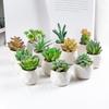 Bonsái de Planta Verde Nórdica Flor Falsa Decoración de Interior Decoración de Escritorio Biónica Suculenta Pequeña Planta en Maceta