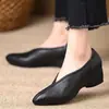 Sapatos Individuais Brancos com Bico Afiado Estilo Francês em Couro Macio, Estampa de Grou Almofada, Novos Modelos Primavera e Outono 2026, Para Meia-Idade e Idosos, Sola Macia, Salto Anabela Confortável, Fundo Plano