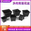 Shun Geng Tian Xia Vasinho para Suculentas Pequeno Quadrado Plástico Pequeno Preto Quadrado Espessado Vasinho para Mudas Flores Plantas Verdes Simples