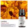 Exportación Transfronteriza Aceite Esencial Individual Fragancia Aromaterapia Masaje Aceite Esencial Sándalo Difusor Mayoreo Muestra de 10 ml