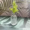 Estilo INS europeo al por mayor nuevo jarrón de cristal hidropónico botella de aromaterapia mini jarrón para sala de estar adorno de interior arreglo floral