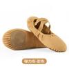 Zapatos de Baile Personalizados para Mujer con Suelas Blandas para Práctica Nuevo Estilo Tela Totalmente Elástica Color Camello Adulto Clásico Niños Fábrica de Baile Venta al por Mayor