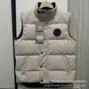 Chaleco de Plumas de Ganso Grande Putian para Hombre, Nuevo Chaleco sin Mangas para Otoño e Invierno, Chaleco Grueso y Cálido para Hombre y Mujer