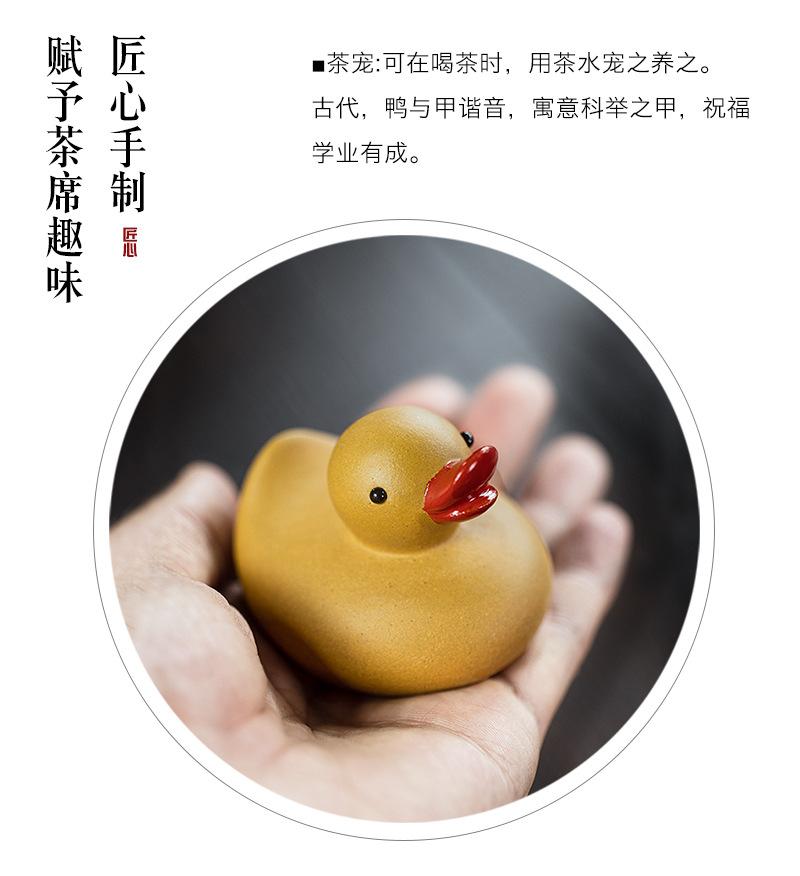 小黄鸭20210806 (17).jpg