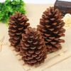 1-15cm Pinhas Decorações de Natal Enfeites Pendentes Flores Secas Pinhas Materiais DIY Feitos à Mão Decorações de Natal