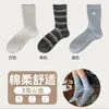 Calcetines de algodón sin costuras para otoño e invierno para mujer, calcetines largos de encaje gris azulados lindos, calcetines de algodón versátiles, calcetines largos estilo Miu