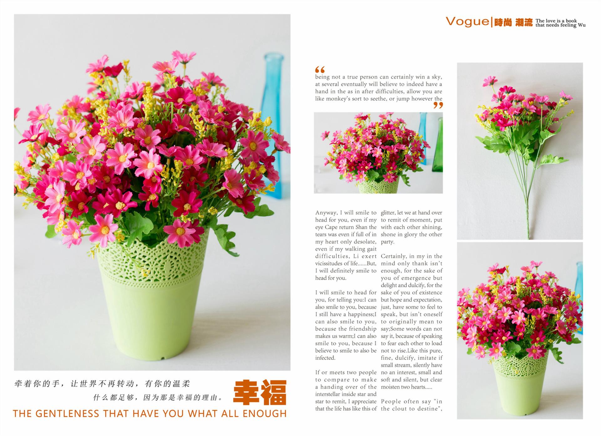 28头跳兰菊