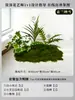 Musgo para Paisajismo de Plantas Verdes Plantas Artificiales Decoración Flores Artificiales Combinación Tropical para Interiores Paisaje de Ventana Persa Arreglo de Césped