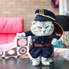 Ropa para Perro Gato Divertida Popular en Internet Spring Baga Pet Lindo Perro Oso Bago Teddy Chai