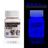Pintura que brilla en la oscuridad de 60 ml, pintura acrílica luminosa para arte, pintura fluorescente para modelos, portátil, en un recipiente pequeño, impermeable, para equipo de pesca, pintura que brilla en la oscuridad