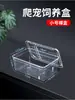 Caja de Cría de Acrílico para Mascotas Reptiles, Serpientes, Geckos, Caracoles, Lagartijas, Ranas Cornudas, Arañas, Tanque de Paisajismo de Selva Tropical