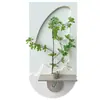 Pintura decorativa de entrada estilo crema con brillo de arenisca texturizada, decoración de pared 3D de mariposa, mural de arreglo de plantas verdes hidropónicas y flores