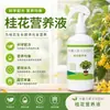 Solución Nutritiva de Osmanthus Lista para Usar Tipo Spray Directo Ajuste de pH Suplemento de Hierro Anti-Amarilleamiento Amigable para Principiantes Cuidado de Osmanthus en Maceta de Balcón