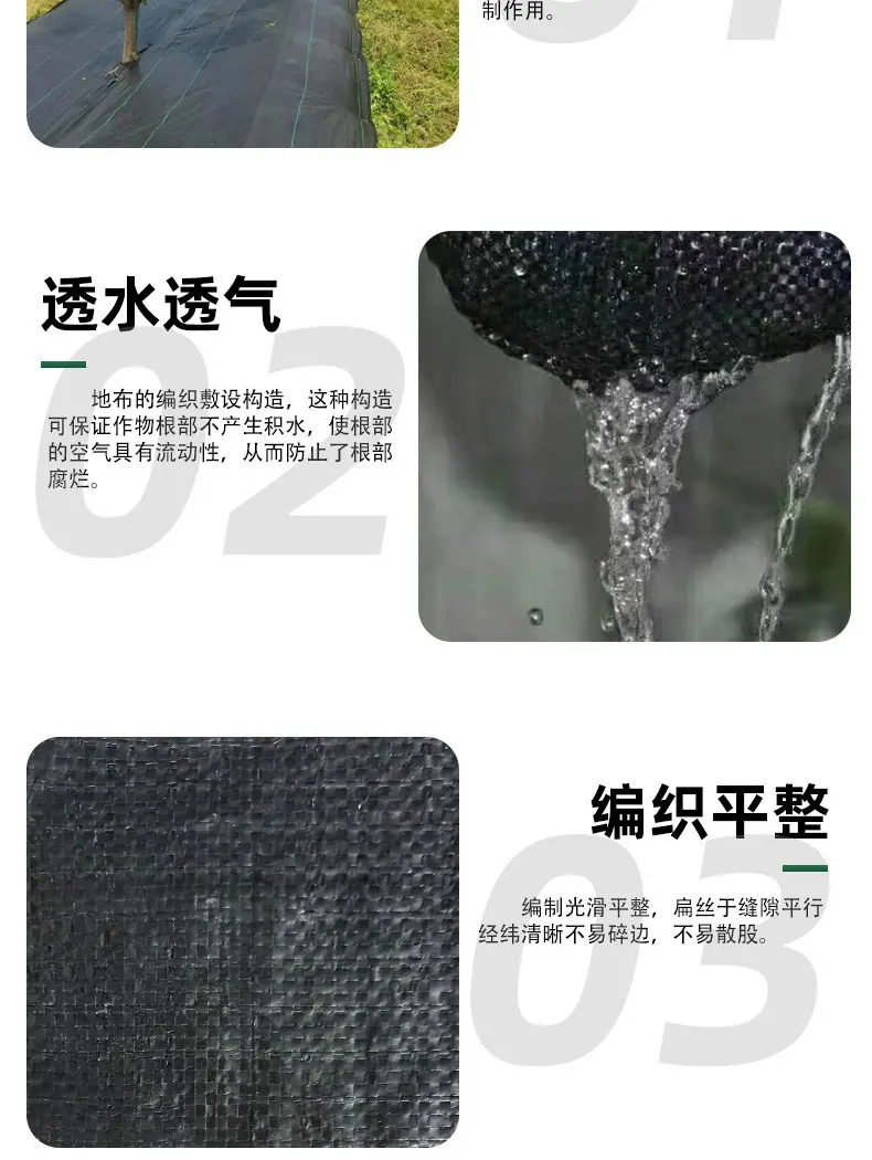 防2.jpg