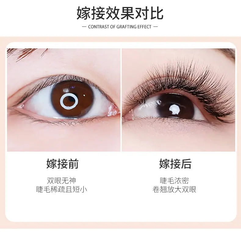 三叶草双层详情_06.jpg