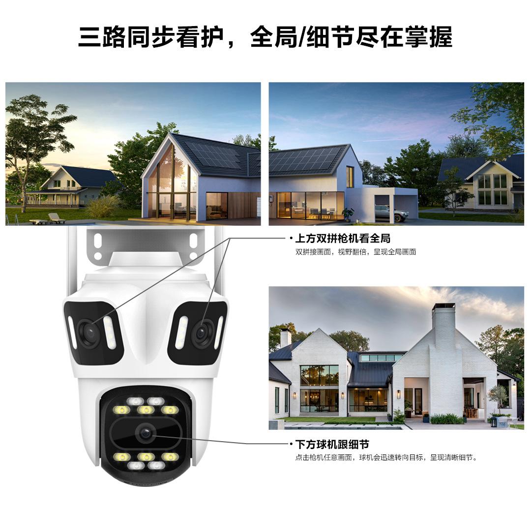 P15--SP8_03.jpg