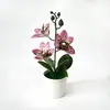 Orquídea Cymbidium Artificial de 3 Flores y 3 Hojas en Maceta Decoración Estilo Nórdico Hogar Oficina Sala de Estar Decoración Flores Artificiales Plantas Verdes Bonsái Venta al por Mayor