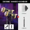 Luz de Preenchimento para Transmissão ao Vivo de 300W, Luz para Fotografia para Montagem de Sala de Transmissão ao Vivo, Refletor Esférico com Grade Constante, Lâmpada Solar de Alto Brilho