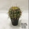 Cactus Pilares de Dragón Simulados Cactus Parásito Planta del Desierto Marroquí Decoración Suave para Paisajismo Modelo Decoración de Proyectos