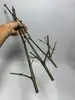 Materias Primas para Portainciensos de Bambú: Ramas de Bambú, Materiales de Bambú Hechos a Mano para Bricolaje, Bambú Macizo, Bambú Hueco