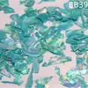 Madrepérola Laca Peças Finas de Concha de Abalone Nail Art Mosaico Pintura em Laca Peças de Madrepérola Material DIY Laca Incrustada Leidezhu