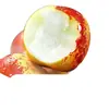 Shaanxi Dali Dátil de Invierno Fruta Fresca Dátil de Temporada Crujiente Dulce Dátil Verde Caja Completa 2.5kg Dátil Sf Opcional Dulce