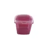 Cubo de Plástico Transparente Cuadrado de 0.75L Cubo de Almacenamiento para Comida Liofilizada, Juguetes, Bloques de Construcción Cubo Pequeño Portátil Sellado