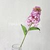 Hortênsia Pagode Borda Queimada Simulada Cor Gradiente Flor Falsa Salão de Casamento t Palco Guia de Estrada Arranjo Floral Exposição Decorativa Floral Atacado