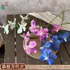Venta al por mayor transfronteriza de orquídeas Bandai: Orquídeas artificiales Bandai de alta calidad, perfectas para decoraciones de bodas, arreglos de hibiscos y ramos de novia