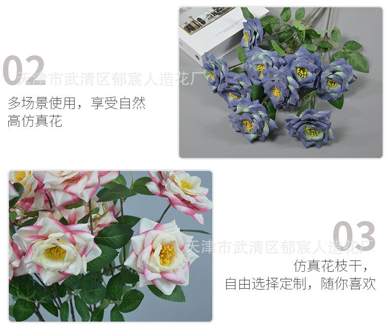 详情_10.png
