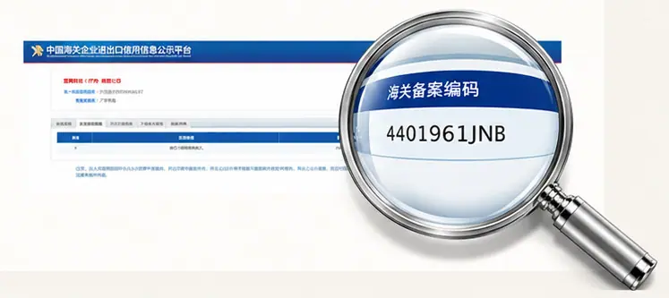 中国海关公开备案记录与金属放大镜鱼眼放大的备案编码4401961JNB｜Customs registration record with magnified code 4401961JNB