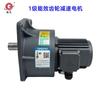 Motor Síncrono de Imán Permanente Gewa Personalizado 100W~750W Primera Clase Eficiencia Energética Ligero Reductor de Engranajes Helicoidales Vertical y Horizontal