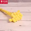 [Vila Zanhua] Yongsheng Flor Bola Dourada Flor Seca Yunnan Buquê Fruta Seca Planta Multicolorida Flor Seca Real Atacado