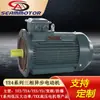 Motor assíncrono trifásico de ultra-alta eficiência YE4-2 polos de produção personalizada da Hebei Sima Electric com 3-355 kW