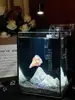 Acuario de Cristal Pequeño Ultra Transparente para Escritorio con Luces, Regalo de Cumpleaños Creativo, Tanque Cuadrado Pequeño
