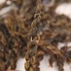 Té Pu'Er al por mayor Yunnan Yongde Daxueshan Té Trenzado Té Crudo Pu'Er Té Suelto Puro Hecho a Mano
