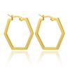 Aretes sencillos pentagonales personalizados de acero inoxidable al por mayor estilo frío ins aretes de acero titanio oro 18K joyería nicho