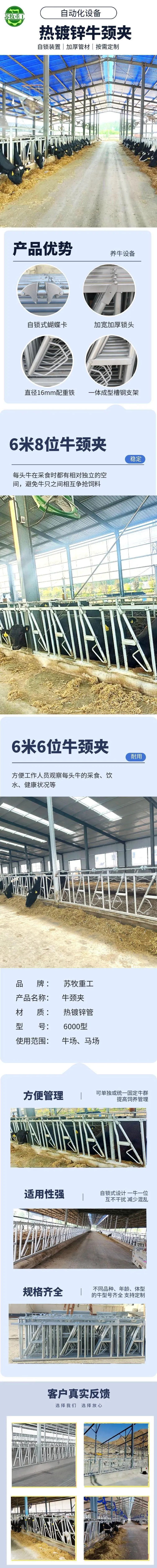 热镀锌牛颈夹5.6