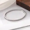 Pulsera de Acero Inoxidable Europea y Americana Moda Simple Doble Raya 7 Diamantes Clásico Lujo Ligero Colorido Resistente al Lavado Joyería de Acero de Titanio