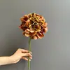 Venta directa de fábrica de hortensias artificiales sin hojas, flores artificiales vintage, decoración popular transfronteriza para fotografía de ambiente