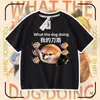 2026 Ropa para Perro Mi Cuchillo y Escudo Camiseta de Algodón Puro Manga Corta Shiba Inu Divertido Paquete de Emoticonos Abstractos Top para Niños y Adolescentes