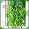 Hojas de Sauce Artificiales, Ramas, Brotes de Sauce, Decoraciones Colgantes para Paredes y Techos de Interiores, Plantas Verdes, Enredaderas, Paisajismo de Árboles