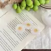 YHJ Accesorios para el Cabello Nuevo Clip para el Cabello de Flor de Margarita Fresca para Niñas, Pinza de Tiburón Estampada Colorida, Accesorio para el Cabello Dulce y Elegante