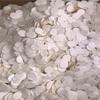 Producción personalizada de fábrica Elemento filtrante de PE Elemento filtrante de medicina biológica Núcleo filtrante de gas electrónico Papel filtrante pequeño para obleas