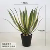 Agave Aloe Vera Simulados em Vaso Planta Verde Sisal Coroa Orquídea Paisagismo Interno Decoração de Casa Bonsai Orquídea Tigre