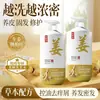 Shampoo de Suco de Gengibre, Shampoo Rei Gengibre Velho, Controle de Oleosidade, Anti-Coceira, Anticaspa, Volumizador, Fofo, Shampoo Refrescante de Gengibre