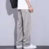 Estilo Novo Verão 2026 Tecido Tencel Lyocell Marca da Moda Masculino Solto Reto Versátil Casual Calças para Homem