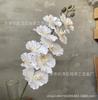 9 Phalaenopsis estilo europeo para sala de estar, hogar, adornos florales, decoración, boda, flores suaves, accesorios de fotografía, flores de simulación.