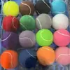 Entrenamiento Profesional Tenis Pelota de Exhibición Colorida Masaje Multi-Tamaño Tenis Exterior Pelota para Mascotas Imprimir Logotipo Pelota de Tenis